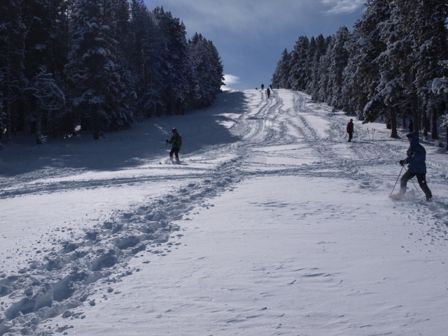Esqui de fondo y raquetas de nieve